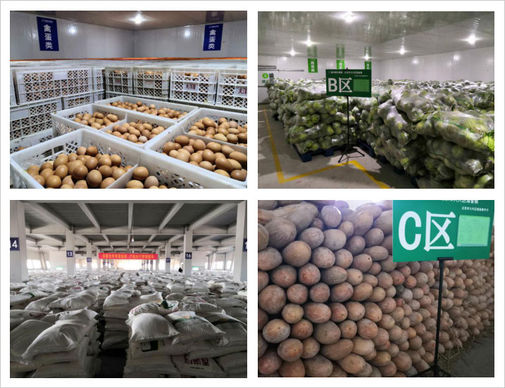 1xBET��Signup(�й���)-�ٷ���վ