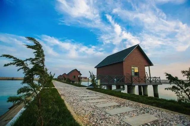 1xBET��Signup(�й���)-�ٷ���վ