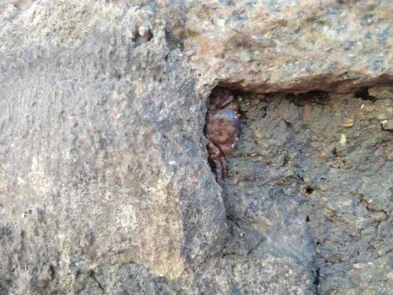 1xBET��Signup(�й���)-�ٷ���վ