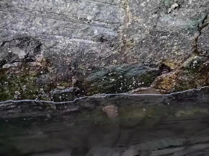 1xBET��Signup(�й���)-�ٷ���վ