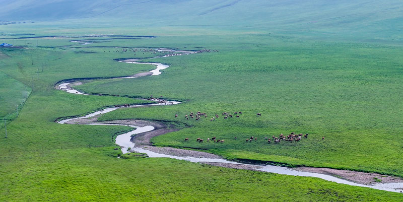 1xBET��Signup(�й���)-�ٷ���վ