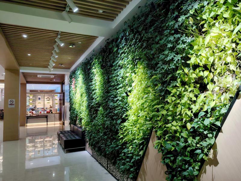 1xBET��Signup(�й���)-�ٷ���վ